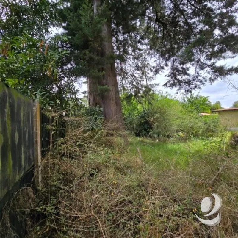¡¡¡Excelente Terreno en Venta San Lucas Sacatepéquez 1,500 mts2!!! - 2