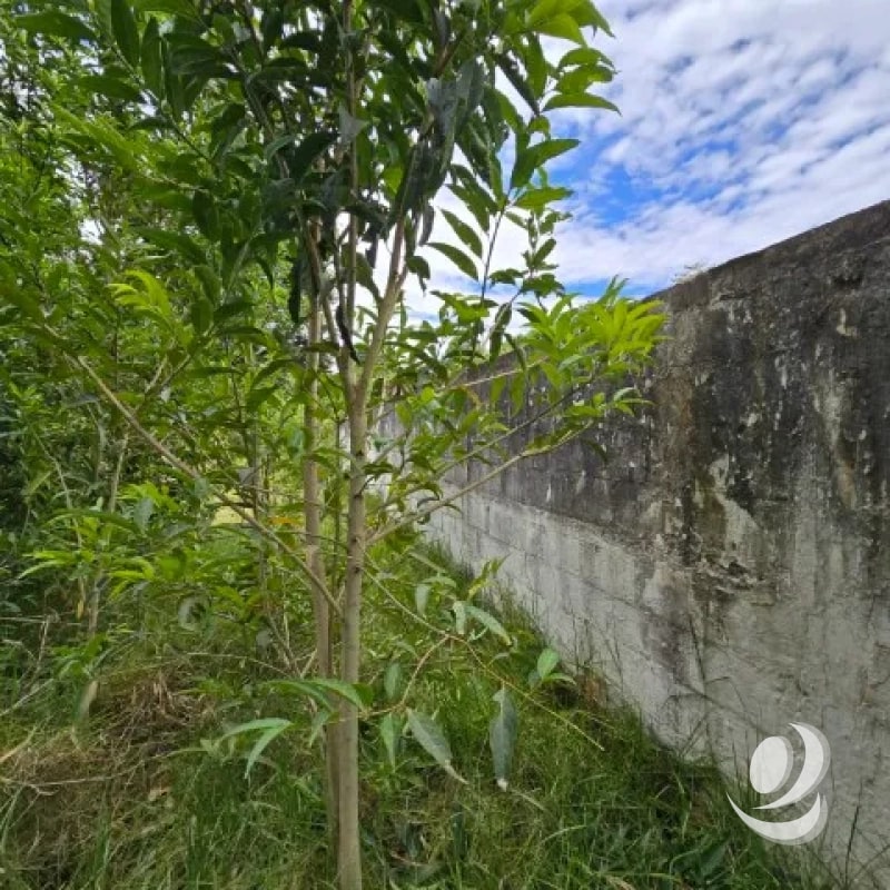 ¡¡¡Excelente Terreno en Venta San Lucas Sacatepéquez 1,500 mts2!!! - 1