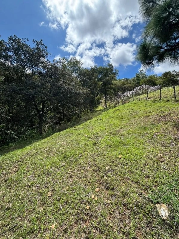 Terreno en venta en Huehuetenango salida a carretera - 6