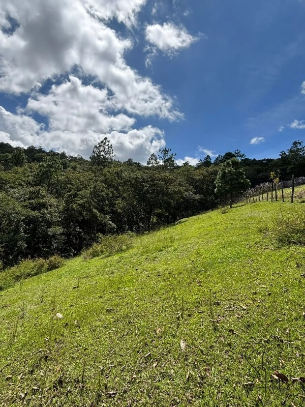 Terreno en venta en Huehuetenango salida a carretera - 9