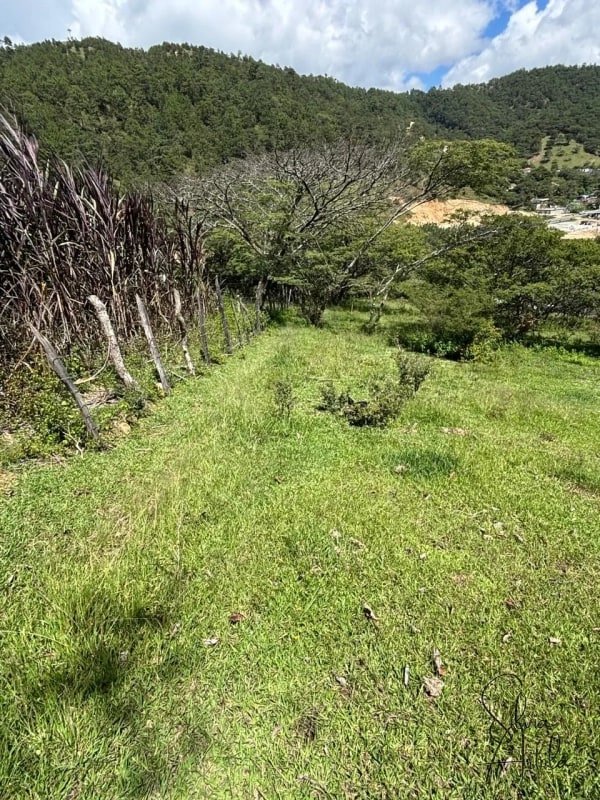 Terreno en venta en Huehuetenango salida a carretera - 13