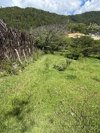 Terreno en venta en Huehuetenango salida a carretera — Terreno en Venta en Huehuetenango, Huehuetenango — miniatura 14 de 17
