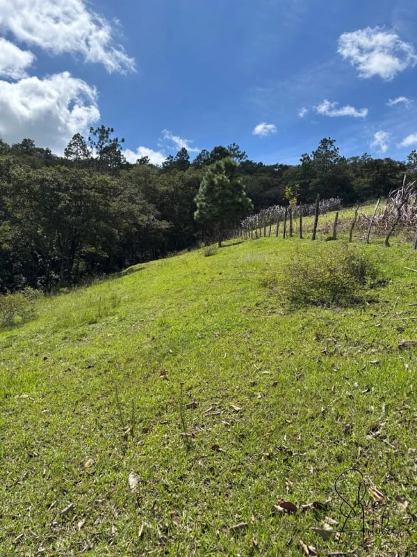 Terreno en venta en Huehuetenango salida a carretera - 14