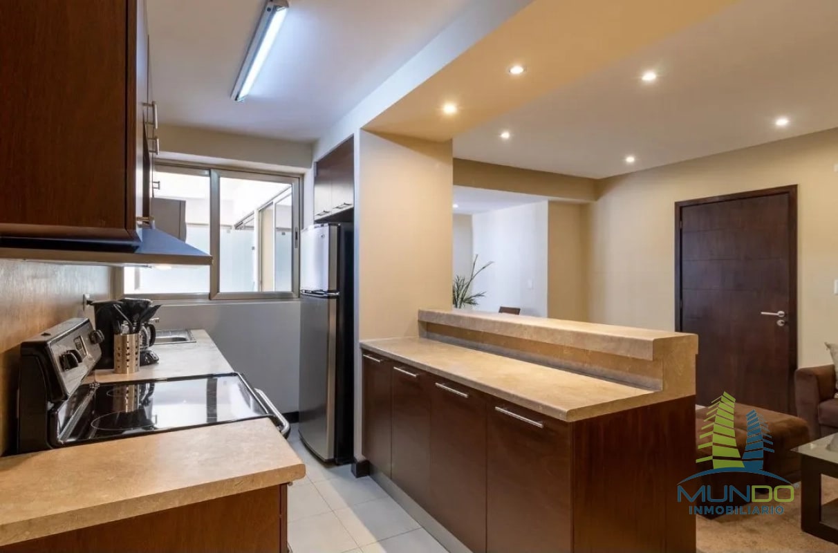 APARTAMENTO EN RENTA EN ZONA 14, MUNDO INMOBILIARIO - 5