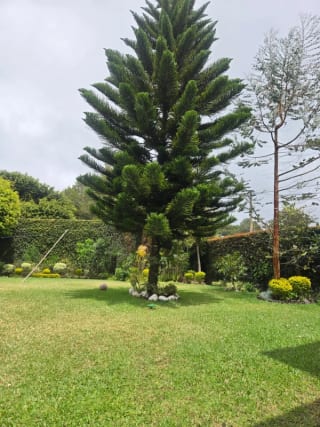 Amplia casa en venta Km 18.5 carretera a El salvador — Casa en Venta en Carretera a El Salvador, Guatemala, Ciudad — miniatura 7 de 13
