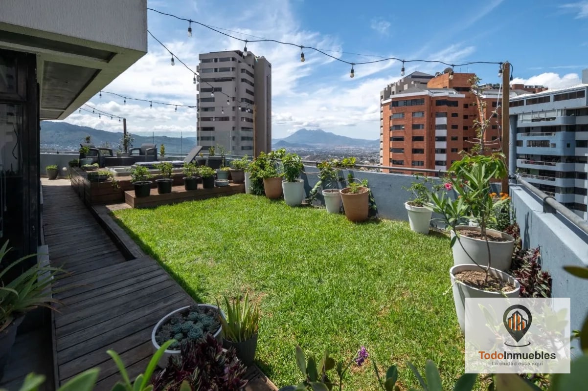 Apartamento Penthouse remodelado en Renta en z14 - 3