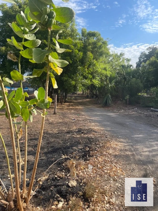 Terreno en venta El Cebollito, Monterrico - 4