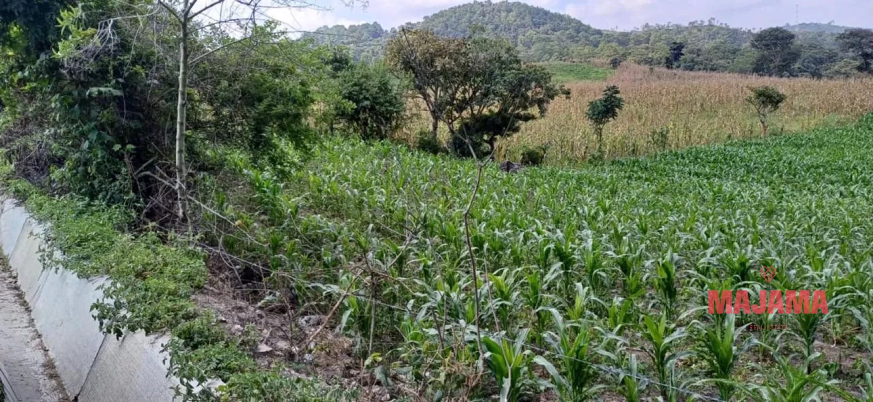 TERRENO EN VENTA EN PALENCIA - CODIGO 09_TV01 - 1