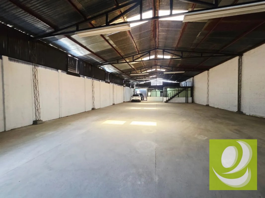 Bodega en Renta zona 11 - 2