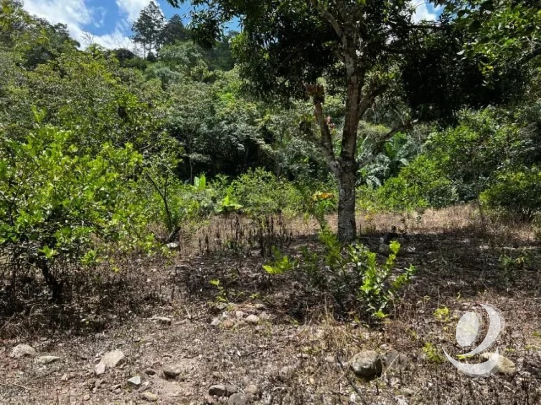 Finca en Venta, Acatempa, Jutiapa, Guatemala - 8