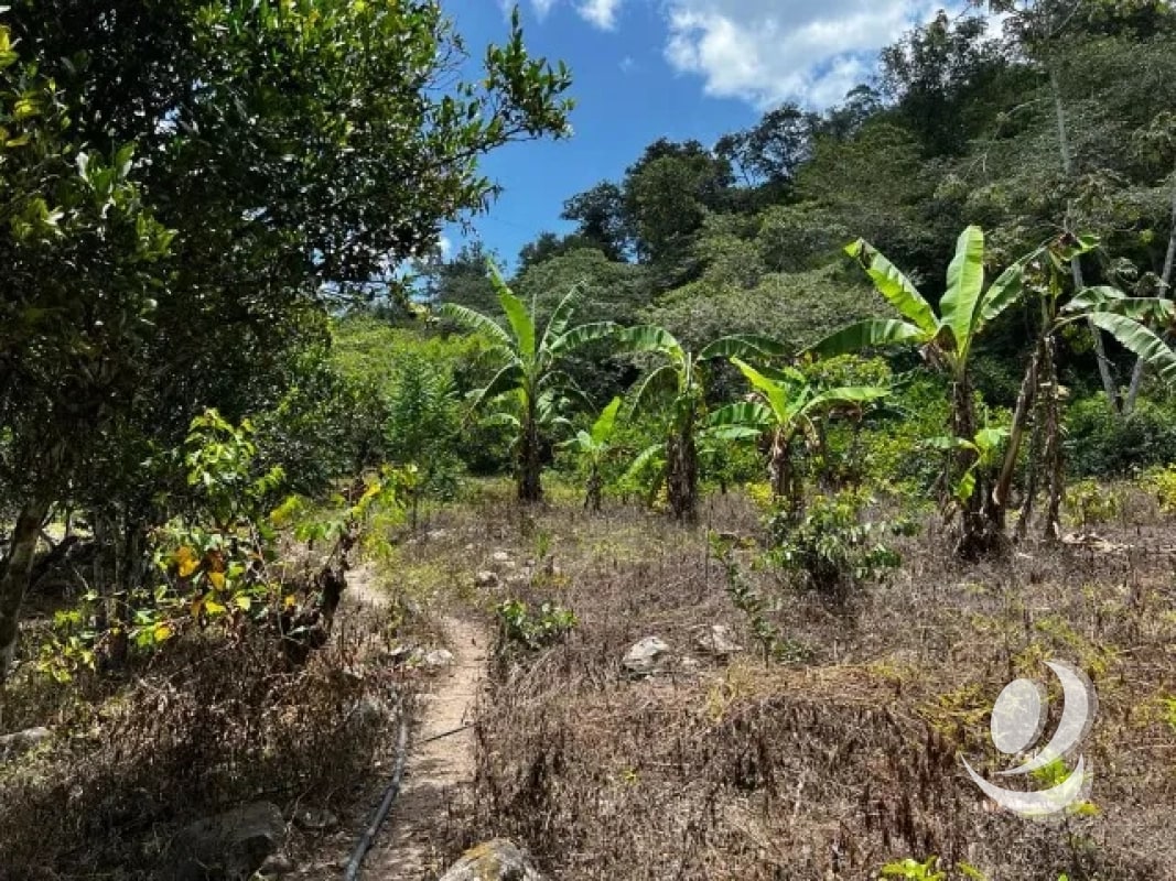 Finca en Venta, Acatempa, Jutiapa, Guatemala - 7