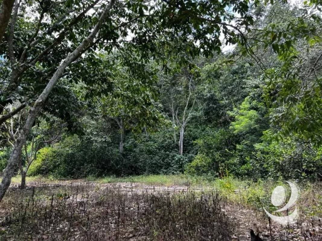 Finca en Venta, Acatempa, Jutiapa, Guatemala - 6