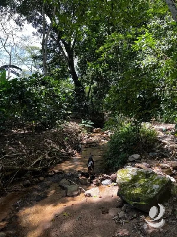 Finca en Venta, Acatempa, Jutiapa, Guatemala - 2