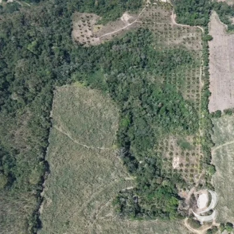 Terreno en Venta Aldea Xayá, Santa Lucía Cotzumalguapa - 7