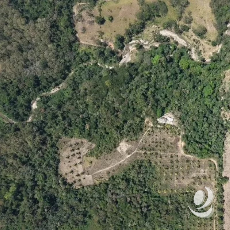 Terreno en Venta Aldea Xayá, Santa Lucía Cotzumalguapa - 6