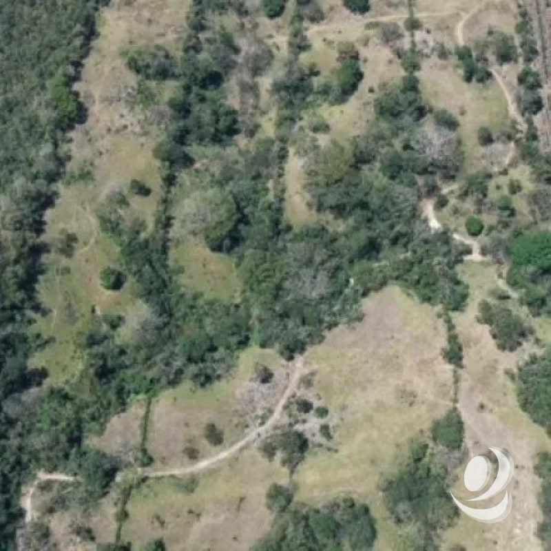 Terreno en Venta Aldea Xayá, Santa Lucía Cotzumalguapa - 5