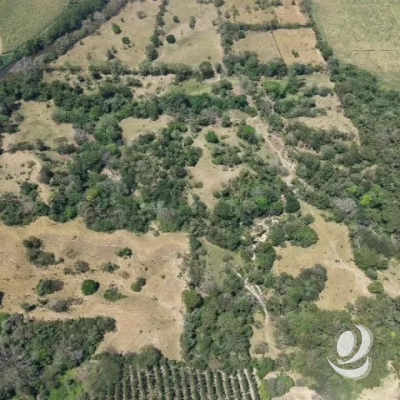 Terreno en Venta Aldea Xayá, Santa Lucía Cotzumalguapa - 3