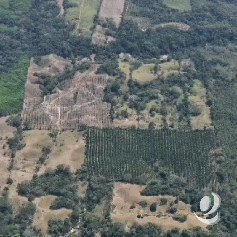 Terreno en Venta Aldea Xayá, Santa Lucía Cotzumalguapa - 2