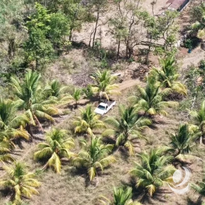 Terreno en Venta Aldea Xayá, Santa Lucía Cotzumalguapa - 1