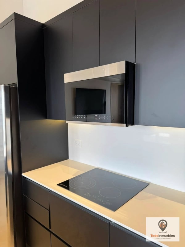 Apartamento Penthouse Loft en Renta en z10 - 7