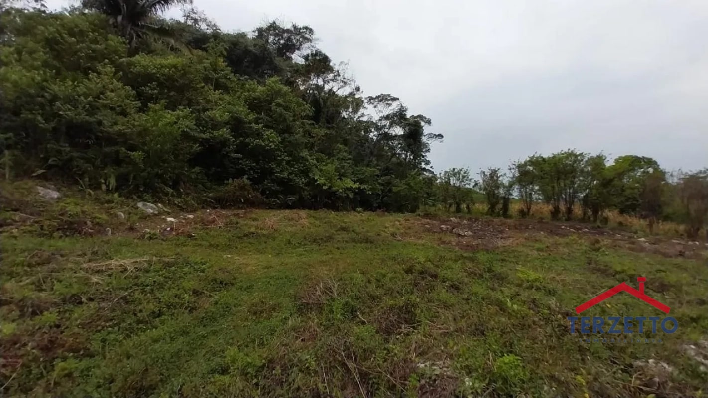 TERRENO RIO DULCE - 7