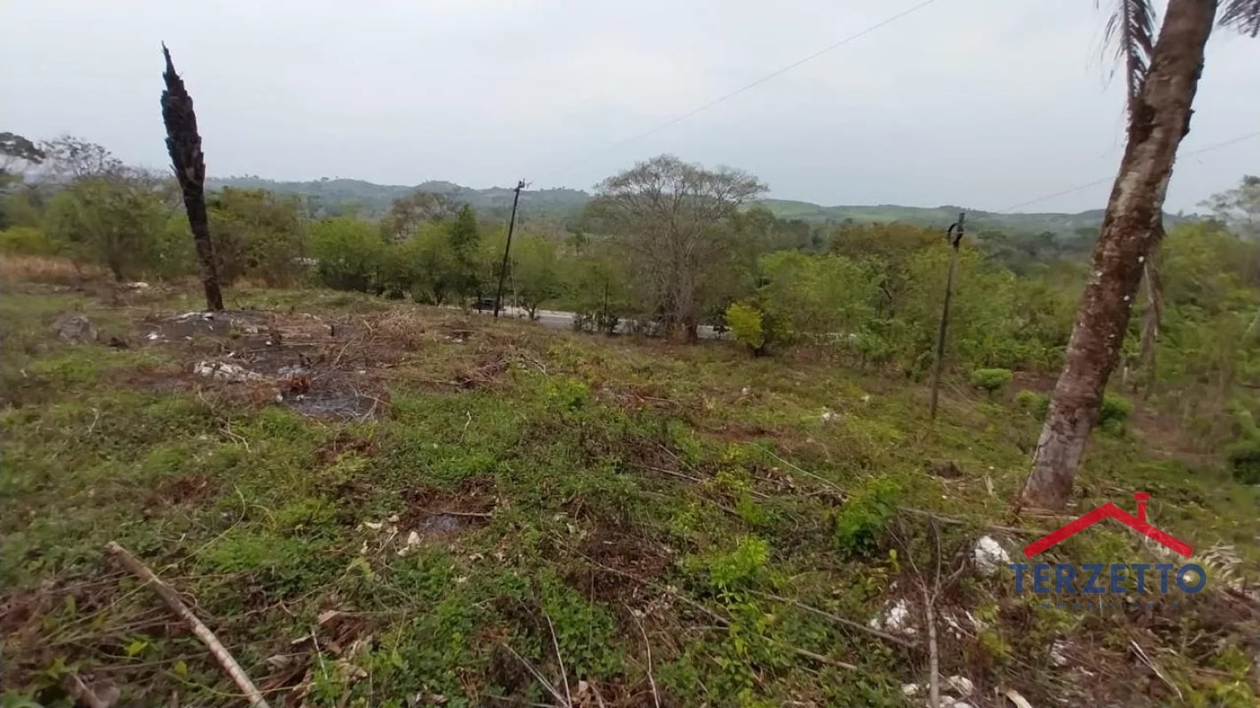 TERRENO RIO DULCE - 6