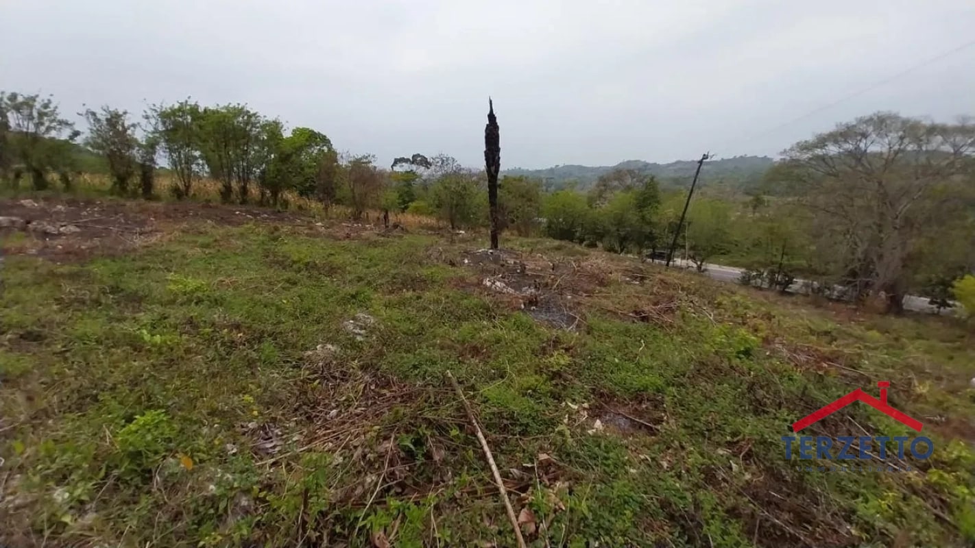 TERRENO RIO DULCE - 5
