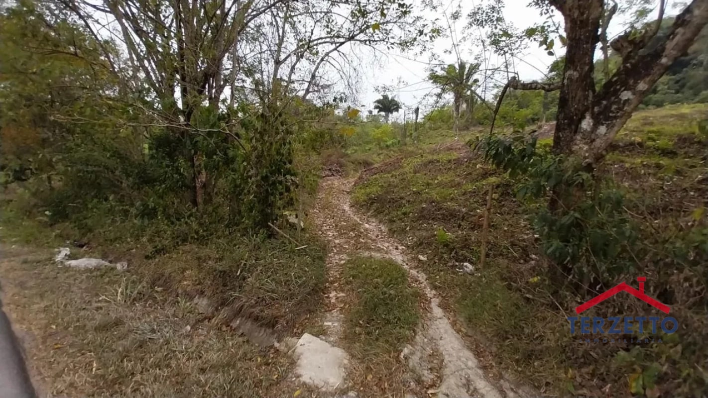 TERRENO RIO DULCE - 4