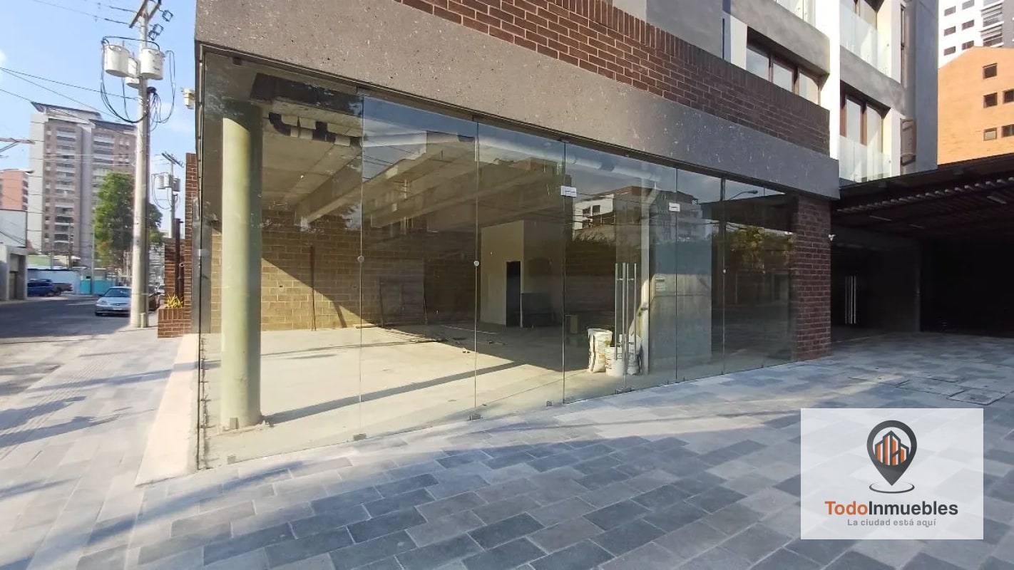 Local Comercial en Renta en z10 Sector Diagonal 6 - 2