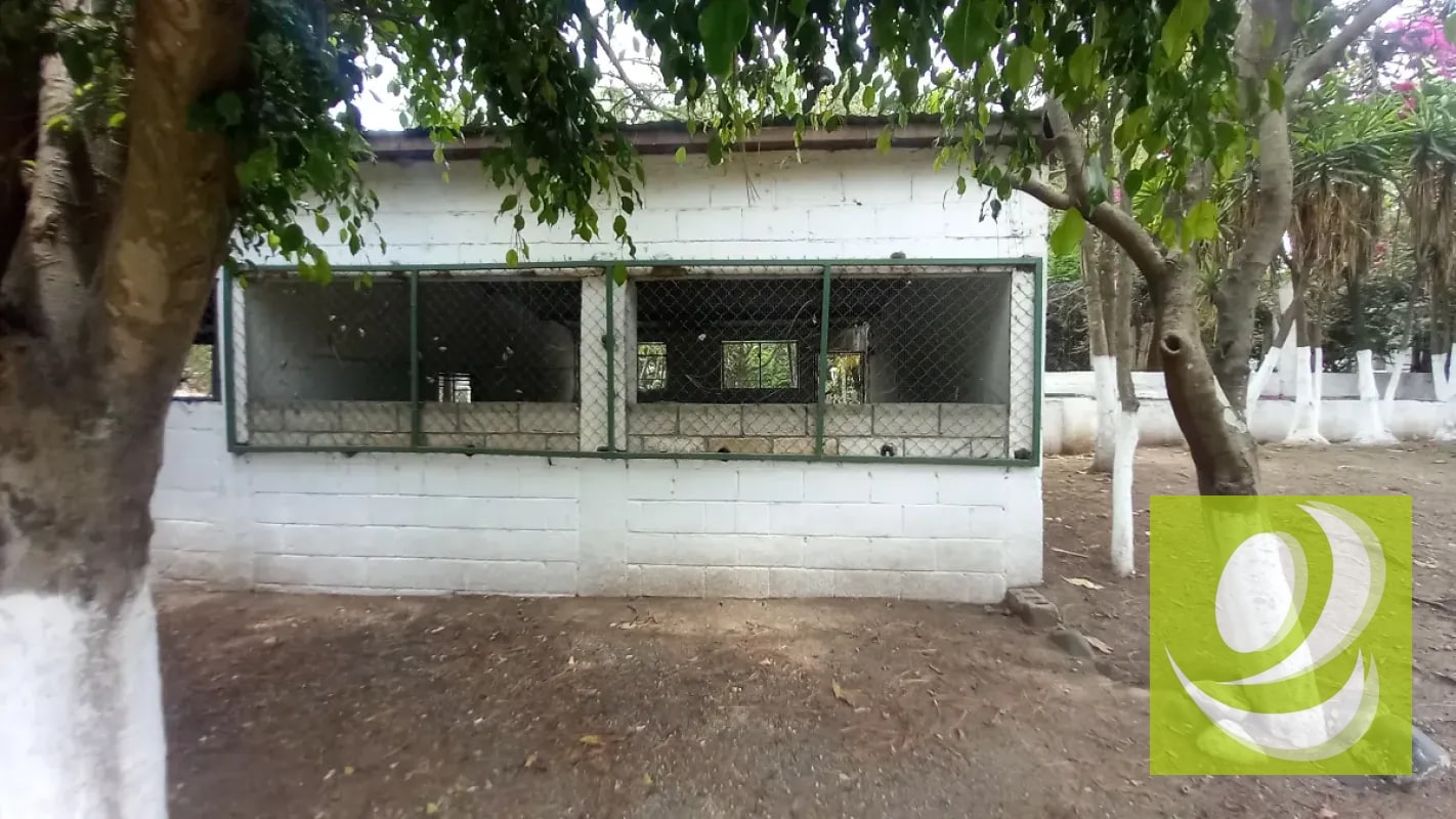 Terreno en Venta /Renta en San José Villa Nueva - 2