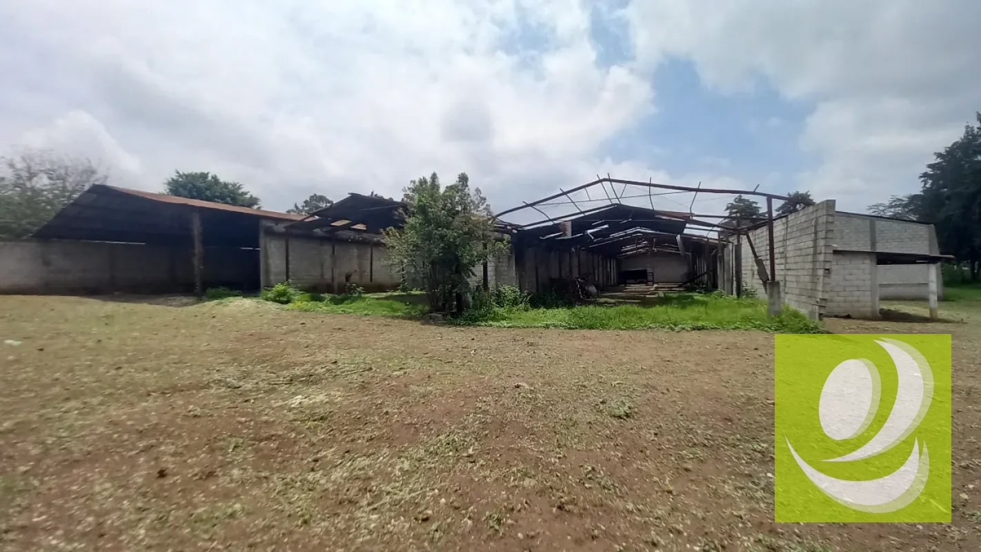 Terreno en Venta /Renta en San José Villa Nueva - 4