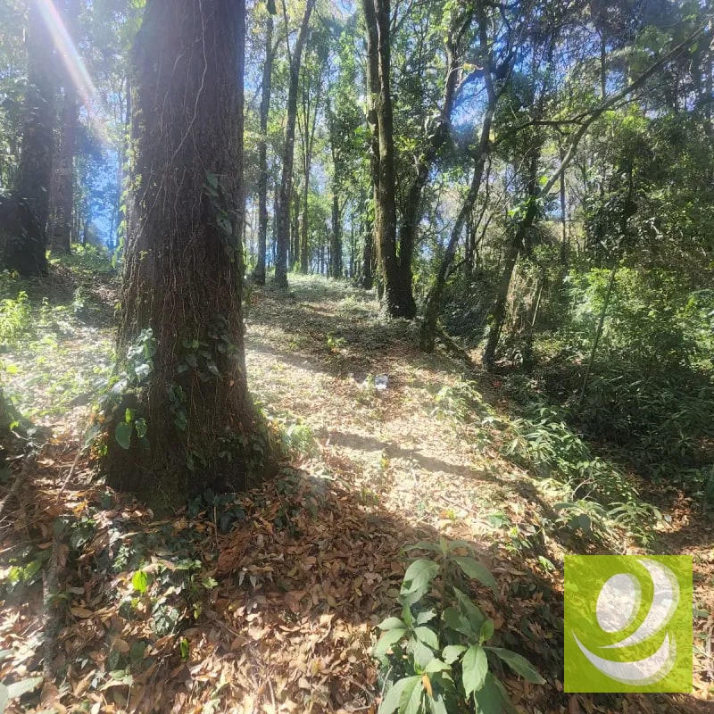 Terreno en Venta Bosque Vivo - 1