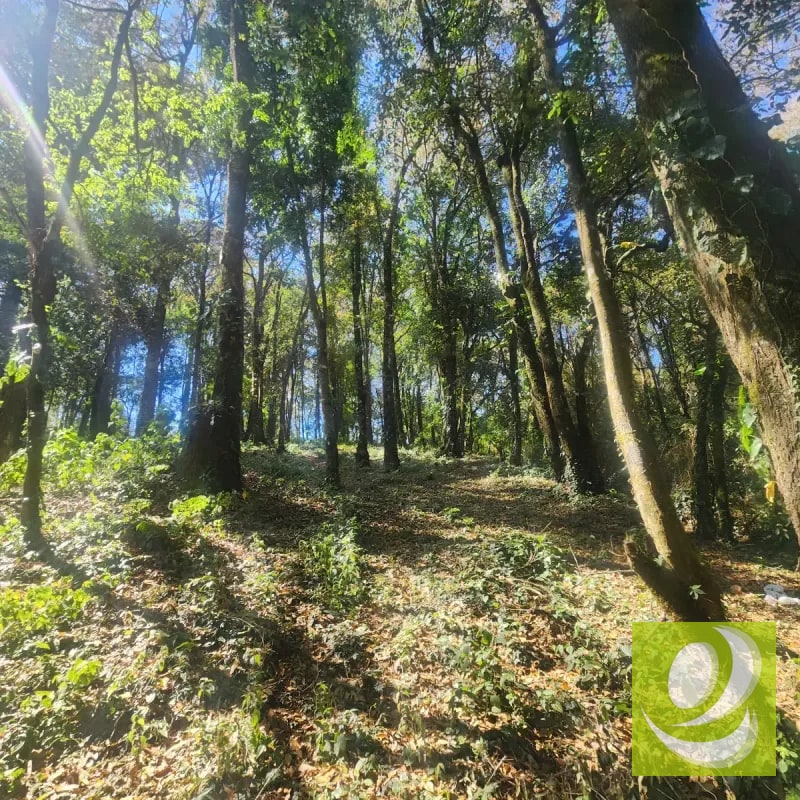 Terreno en Venta Bosque Vivo - 2