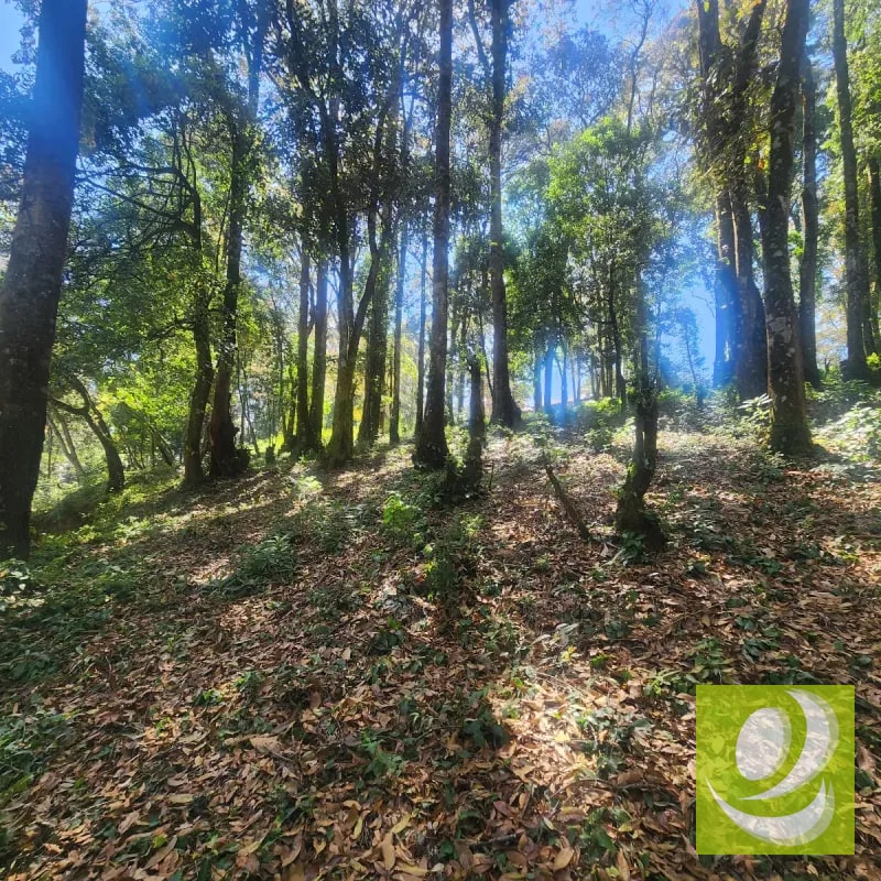 Terreno en Venta Bosque Vivo - 3
