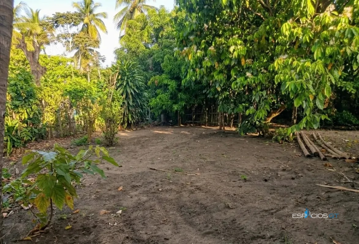 TERRENO EN VENTA EL PAREDÓN, FRENTE AL EMBARCADERO - 5