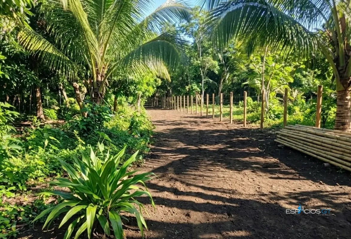 TERRENO EN VENTA EL PAREDÓN, FRENTE AL EMBARCADERO - 1