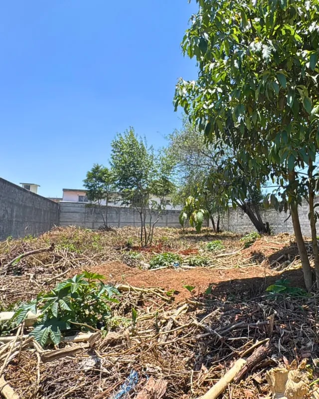 TERRENO EN VENTA EN LOS ALPES SAN LUCAS - 7