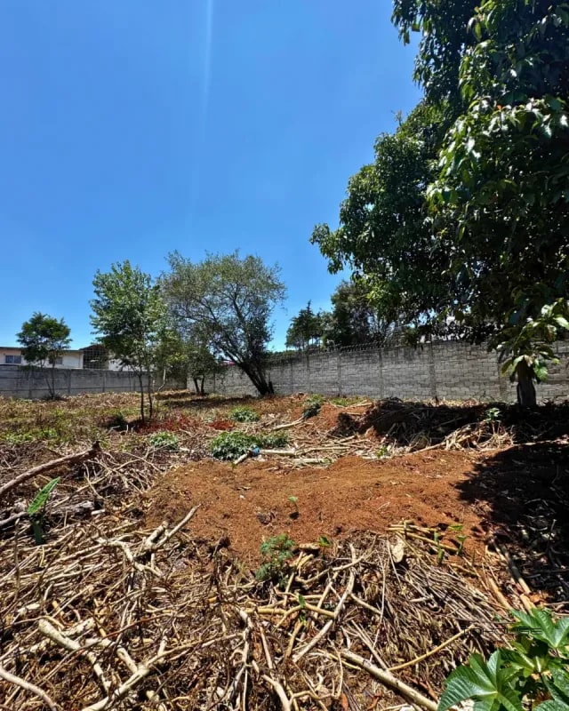 TERRENO EN VENTA EN LOS ALPES SAN LUCAS - 3