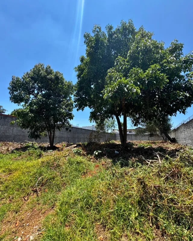 TERRENO EN VENTA EN LOS ALPES SAN LUCAS - 5