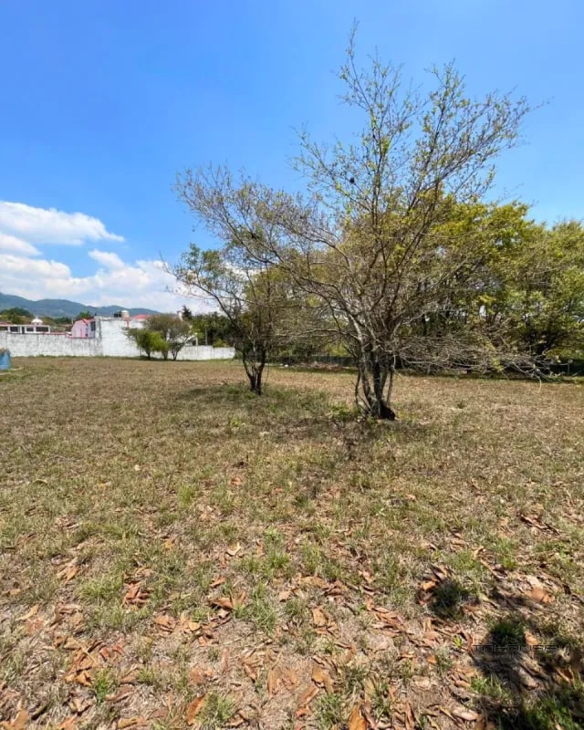TERRENO EN VENTA SAN CRISTOBAL, SECTOR A6 DENTRO DE GARITA - 5