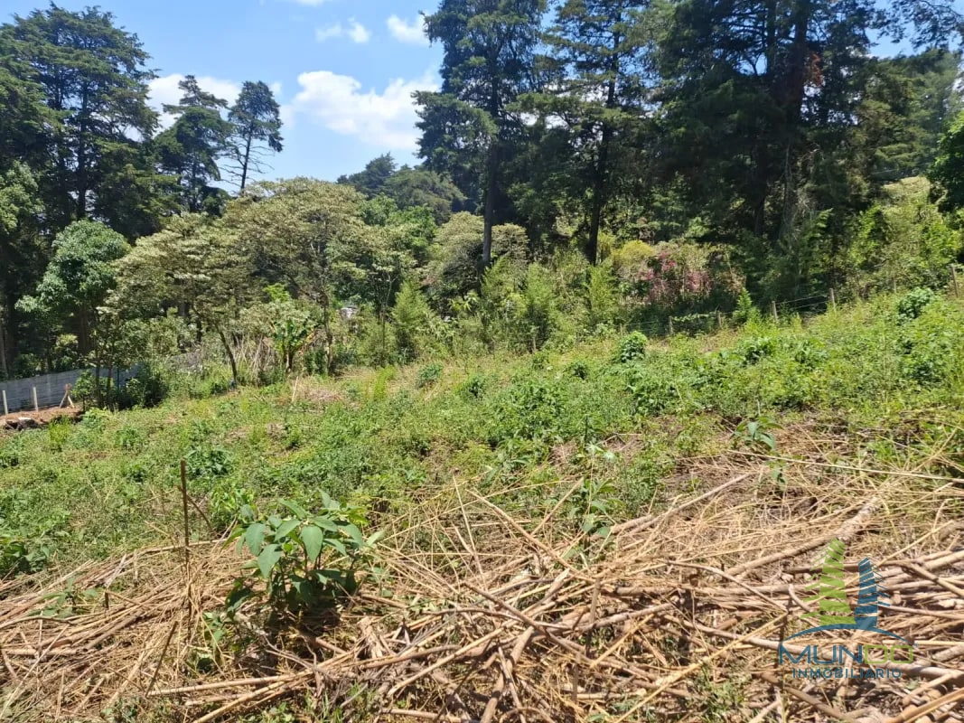 TERRENO EN VENTA EN SAN JOSE PINULA - 8