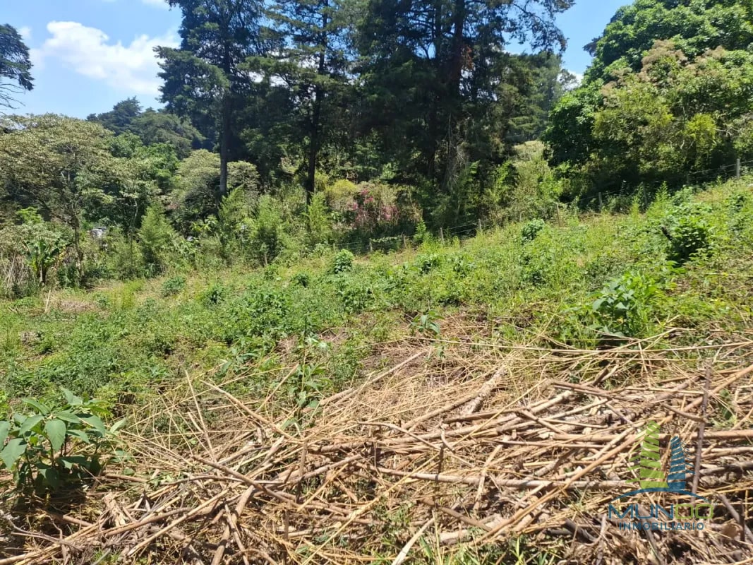 TERRENO EN VENTA EN SAN JOSE PINULA - 6