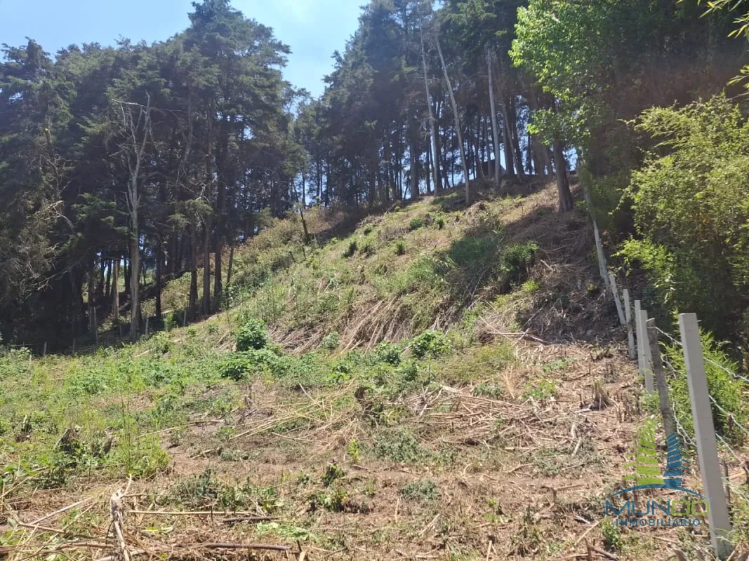 TERRENO EN VENTA EN SAN JOSE PINULA - 4