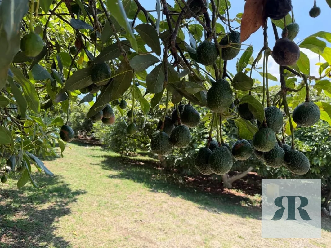 Venta Granja Santa Lucía Milpas Altas - 7
