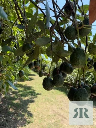 Venta Granja Santa Lucía Milpas Altas — Finca en Venta en Santa Lucía Milpas Altas, Sacatepéquez — miniatura 9 de 10