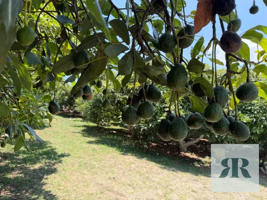 Venta Granja Santa Lucía Milpas Altas — Finca en Venta en Santa Lucía Milpas Altas, Sacatepéquez — foto 8 de 10