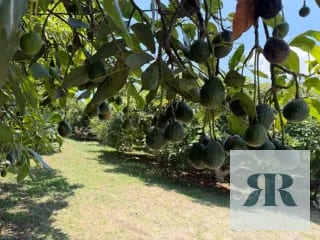 Venta Granja Santa Lucía Milpas Altas — Finca en Venta en Santa Lucía Milpas Altas, Sacatepéquez — miniatura 8 de 10
