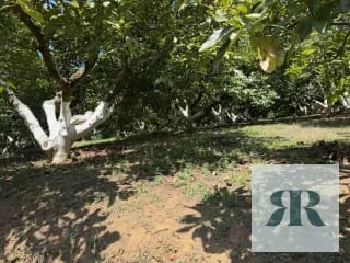 Venta Granja Santa Lucía Milpas Altas — Finca en Venta en Santa Lucía Milpas Altas, Sacatepéquez — miniatura 5 de 10