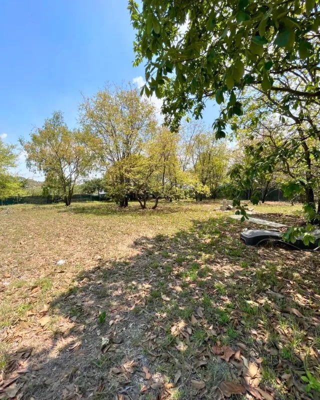 TERRENO EN VENTA SAN CRISTOBAL, SECTOR A6 DENTRO DE GARITA - 4