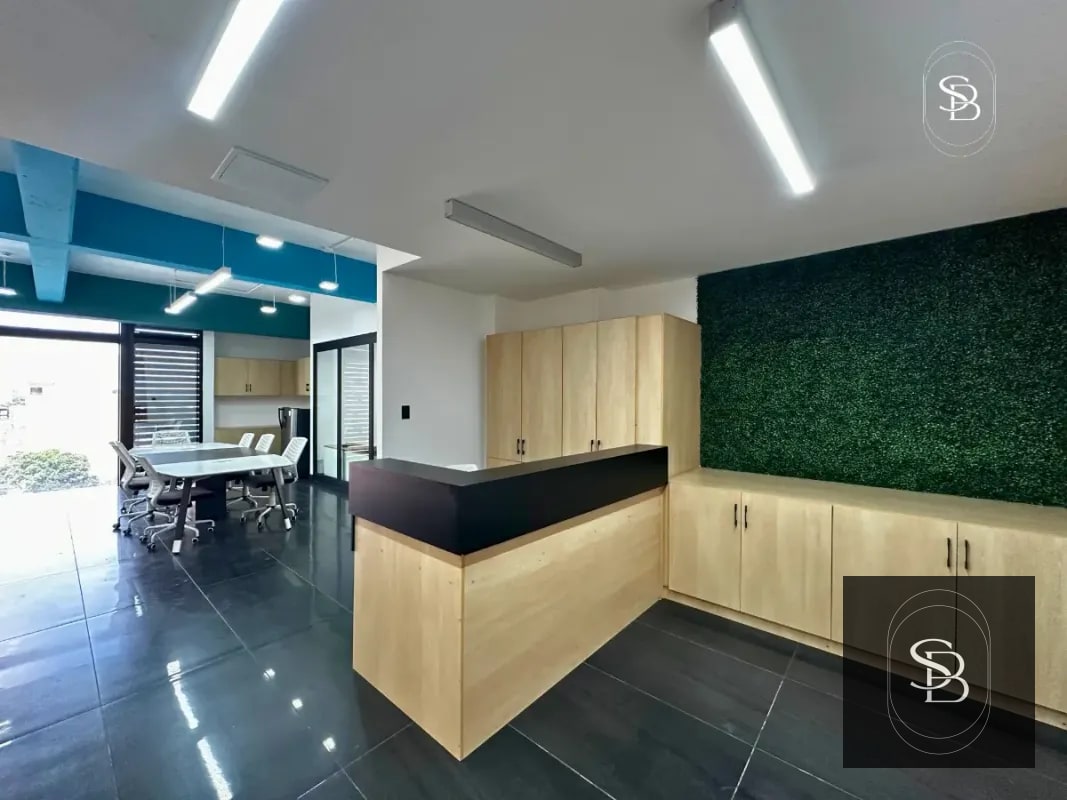 Oficina en renta – Edificio 01010 Z.10 - 2